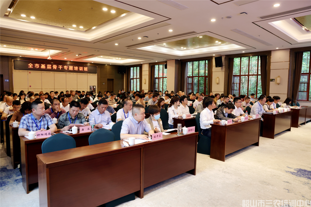 為基層干部賦能充電！全市基層骨干專題培訓班開班(圖3)